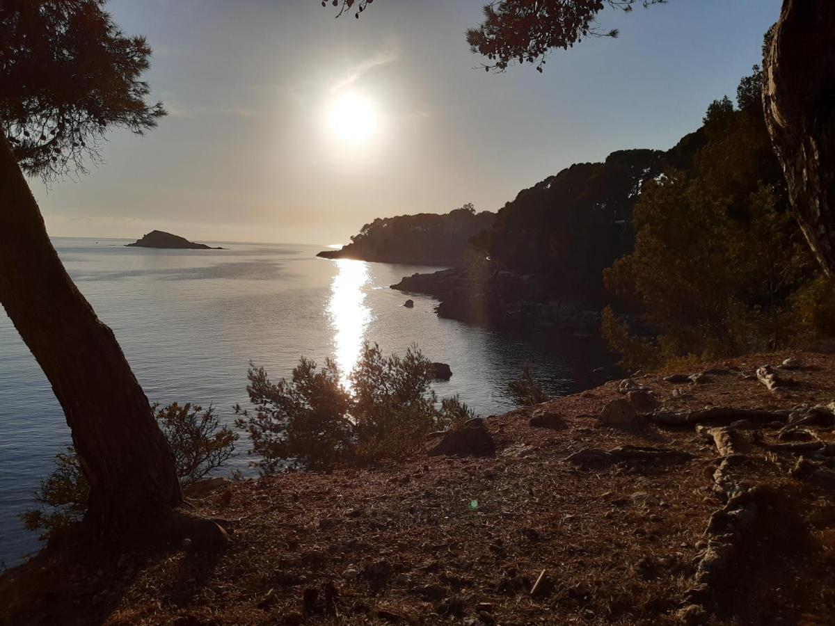 Chant des Cigales Bandol Extérieur photo